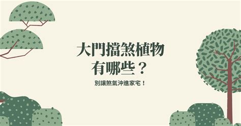 風水植物 擋煞|別讓煞氣沖進家宅！大門擋煞植物有哪些？ 